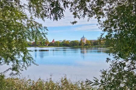 Blick auf den Frankenteich mit grünen Ästen als Umrandung
